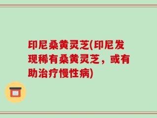 印尼桑黄灵芝(印尼发现稀有桑黄灵芝，或有助治疗慢性病)