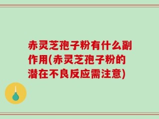 赤灵芝孢子粉有什么副作用(赤灵芝孢子粉的潜在不良反应需注意)