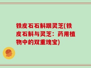 铁皮石石斛跟灵芝(铁皮石斛与灵芝：药用植物中的双重瑰宝)