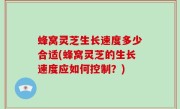 蜂窝灵芝生长速度多少合适(蜂窝灵芝的生长速度应如何控制？)
