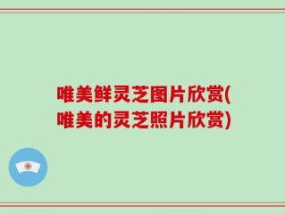唯美鲜灵芝图片欣赏(唯美的灵芝照片欣赏)