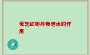 灵芝红枣丹参泡水的作用