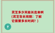 灵芝多少天能长出来啊(灵芝生长周期：了解它需要多长时间？)