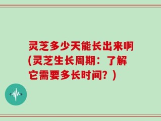 灵芝多少天能长出来啊(灵芝生长周期：了解它需要多长时间？)