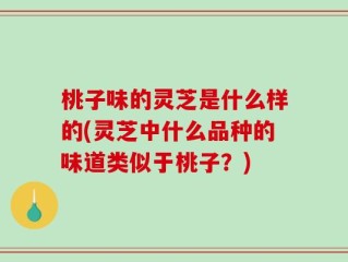 桃子味的灵芝是什么样的(灵芝中什么品种的味道类似于桃子？)