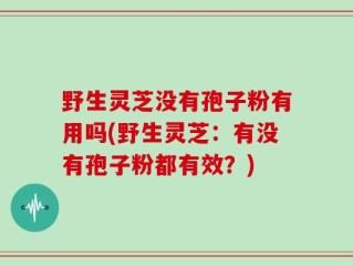 野生灵芝没有孢子粉有用吗(野生灵芝：有没有孢子粉都有效？)