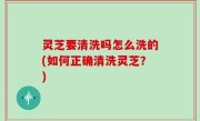 灵芝要清洗吗怎么洗的(如何正确清洗灵芝？)