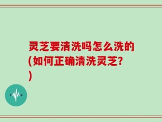 灵芝要清洗吗怎么洗的(如何正确清洗灵芝？)