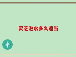 灵芝泡水多久适当