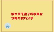椴木灵芝孢子粉收集全攻略与技巧分享