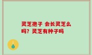 灵芝孢子 会长灵芝么吗？灵芝有种子吗