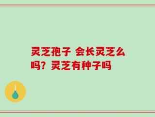 灵芝孢子 会长灵芝么吗？灵芝有种子吗