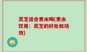 灵芝适合煮水喝(煮水饮用：灵芝的好处和功效)