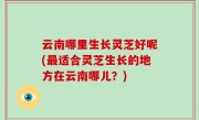 云南哪里生长灵芝好呢(最适合灵芝生长的地方在云南哪儿？)