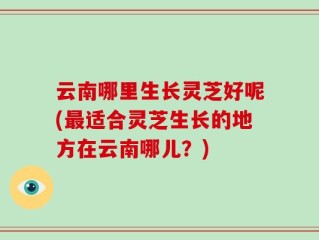 云南哪里生长灵芝好呢(最适合灵芝生长的地方在云南哪儿？)