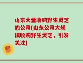 山东大量收购野生灵芝的公司(山东公司大规模收购野生灵芝，引发关注)