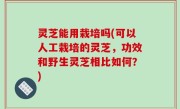灵芝能用栽培吗(可以人工栽培的灵芝，功效和野生灵芝相比如何？)