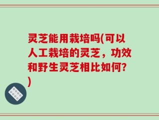 灵芝能用栽培吗(可以人工栽培的灵芝，功效和野生灵芝相比如何？)