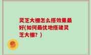 灵芝大棚怎么搭效果最好(如何最优地搭建灵芝大棚？)