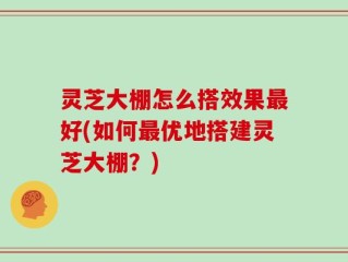 灵芝大棚怎么搭效果最好(如何最优地搭建灵芝大棚？)