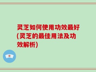 灵芝如何使用功效最好(灵芝的最佳用法及功效解析)