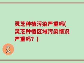 灵芝种植污染严重吗(灵芝种植区域污染情况严重吗？)