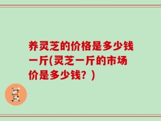 养灵芝的价格是多少钱一斤(灵芝一斤的市场价是多少钱？)