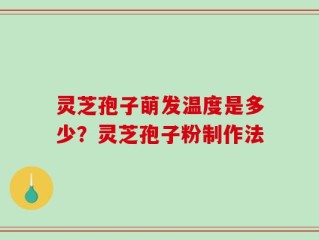 灵芝孢子萌发温度是多少？灵芝孢子粉制作法