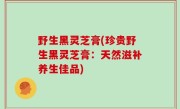 野生黑灵芝膏(珍贵野生黑灵芝膏：天然滋补养生佳品)
