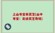 上山寻宝采灵芝(山中寻宝：走进灵芝奇境)
