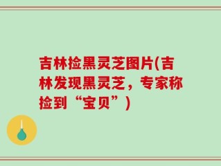 吉林捡黑灵芝图片(吉林发现黑灵芝，专家称捡到“宝贝”)