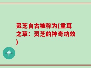灵芝自古被称为(重耳之草：灵芝的神奇功效)