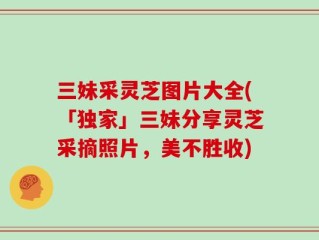 三妹采灵芝图片大全(「独家」三妹分享灵芝采摘照片，美不胜收)