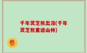 千年灵芝熊出没(千年灵芝熊重返山林)