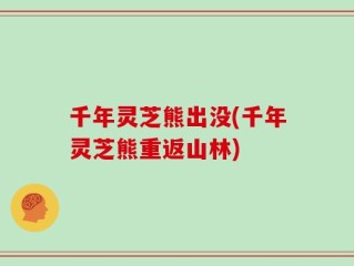 千年灵芝熊出没(千年灵芝熊重返山林)