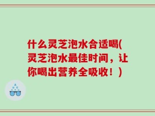 什么灵芝泡水合适喝(灵芝泡水最佳时间，让你喝出营养全吸收！)