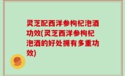灵芝配西洋参枸杞泡酒功效(灵芝西洋参枸杞泡酒的好处拥有多重功效)