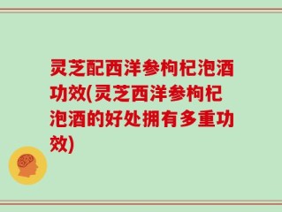 灵芝配西洋参枸杞泡酒功效(灵芝西洋参枸杞泡酒的好处拥有多重功效)