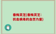 春梅灵芝(春梅灵芝：抗击病毒的自然力量)
