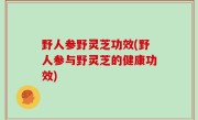 野人参野灵芝功效(野人参与野灵芝的健康功效)