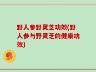野人参野灵芝功效(野人参与野灵芝的健康功效)