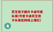 灵芝孢子图片卡通可爱头像(可爱卡通灵芝孢子头像在网络上爆红)