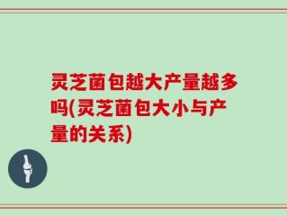 灵芝菌包越大产量越多吗(灵芝菌包大小与产量的关系)