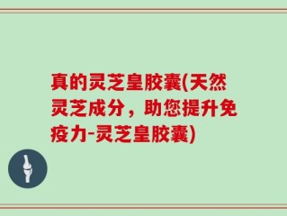 真的灵芝皇胶囊(天然灵芝成分，助您提升免疫力-灵芝皇胶囊)