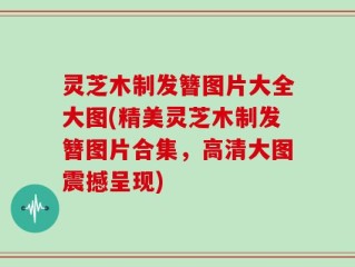 灵芝木制发簪图片大全大图(精美灵芝木制发簪图片合集，高清大图震撼呈现)