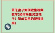 灵芝孢子如何收集视频教学(如何采集灵芝孢子？简单实用的视频指南)