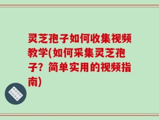 灵芝孢子如何收集视频教学(如何采集灵芝孢子？简单实用的视频指南)