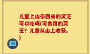 儿童上山带回来的灵芝可以吃吗(可食用的灵芝？儿童从山上收获。)