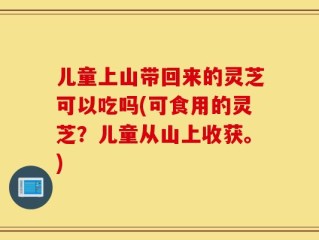 儿童上山带回来的灵芝可以吃吗(可食用的灵芝？儿童从山上收获。)