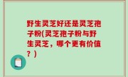 野生灵芝好还是灵芝孢子粉(灵芝孢子粉与野生灵芝，哪个更有价值？)